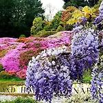 Belvedere Volesio Daire *
