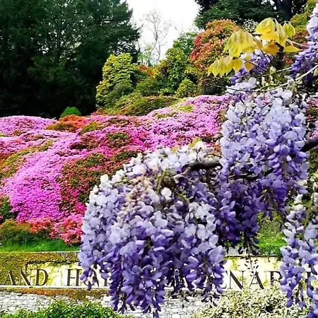 Belvedere Volesio Apartmán *